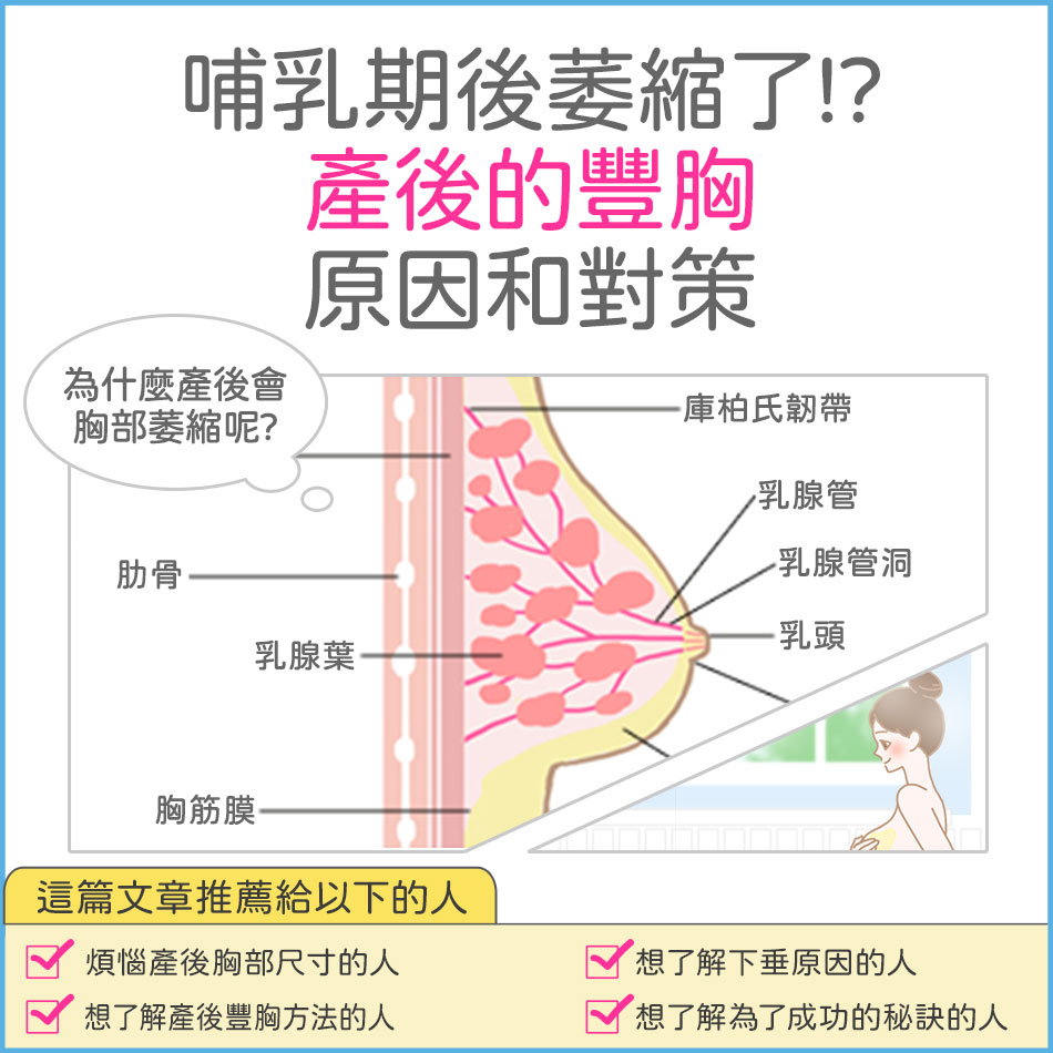 【專題】產後豐胸是可能的嗎?產後，哺乳期後胸部下垂的原因和對策